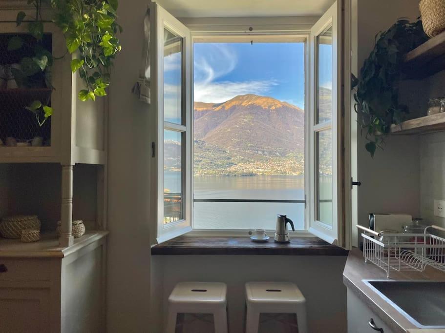 Il Noce Lake View Apartment Lezzeno Exterior foto